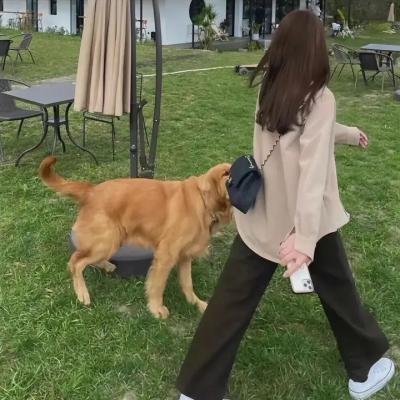 打黑重案组封面